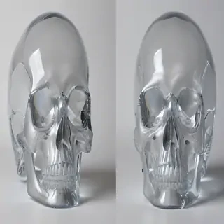 transparent skull