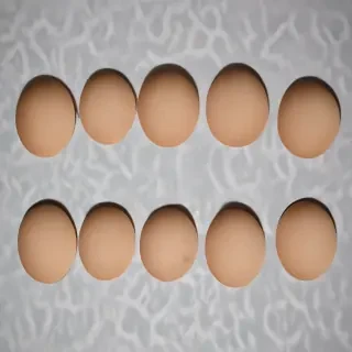 circle pictures