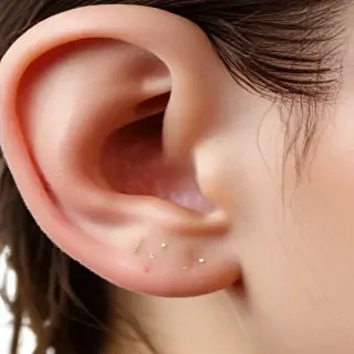 ear png