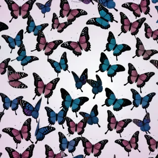 butterfly aesthetic wallpaper