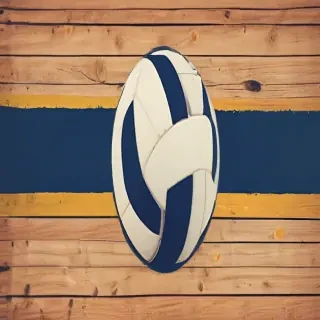 volleyball wallpaper