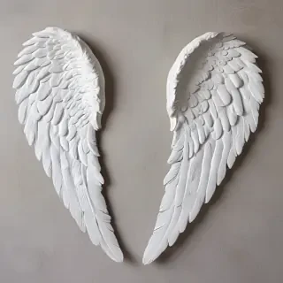 picture of angel wings