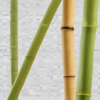 bamboo png