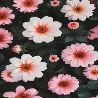 flowers aesthetic wallpaper