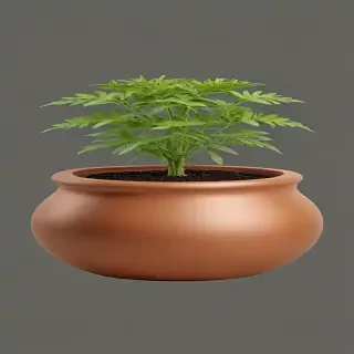 pot png
