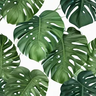 monstera png
