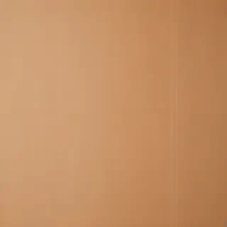cardboard background