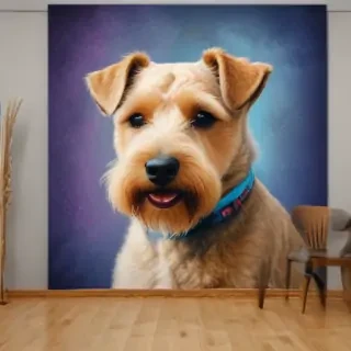lakeland terrier