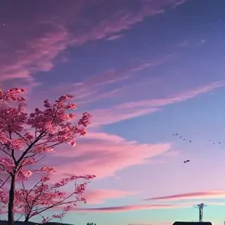 wallpaper for phone aesthetic