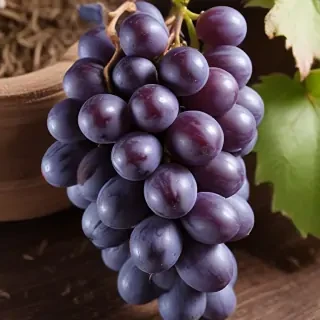 grape png