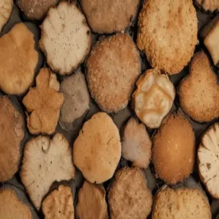 rough textures