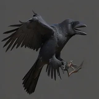 raven png