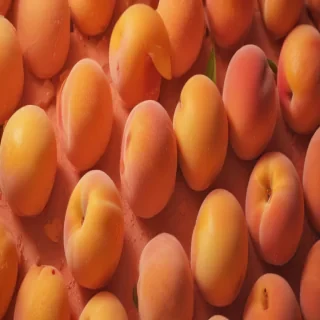 peach color background