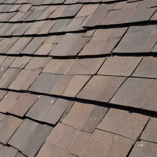 picture of shingles