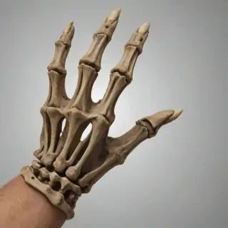 skeleton hand png
