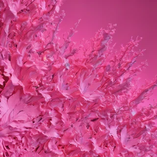neon pink bg