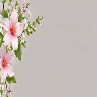 flower border transparent