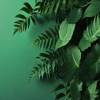 aesthetic green background