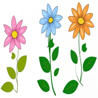 flowers clipart transparent background