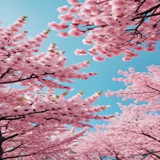 spring desktop wallpaper aesthetic
