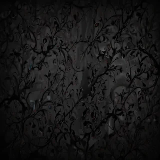 phone wallpaper black