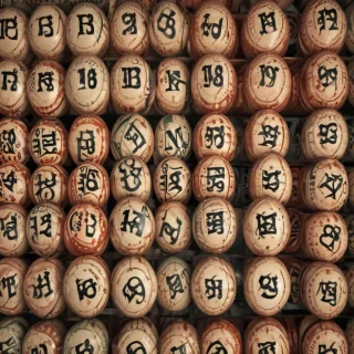 bingo png