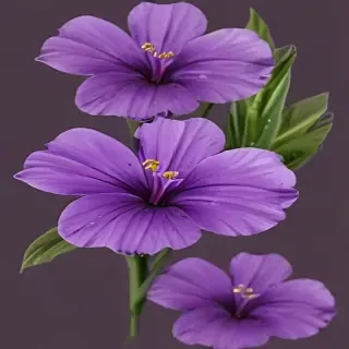 purple flower png