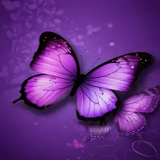 purple wallpapers butterfly