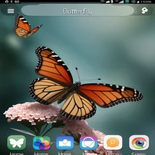 butterfly home screen