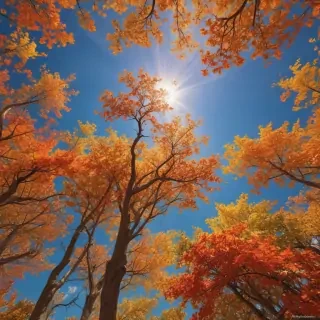 pretty backround