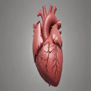 human heart png