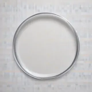 circle transparent background