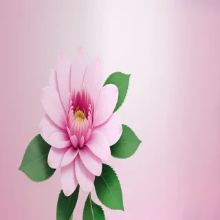 pink flower transparent background