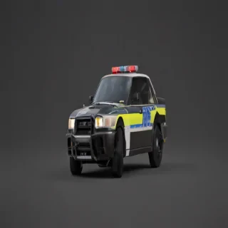 police backgrounds