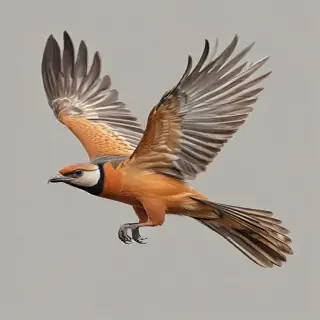 bird flying png