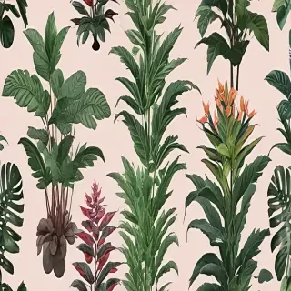 aesthetic plants png