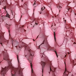 pink butterflies aesthetic