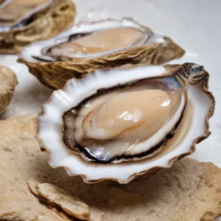 oysters png