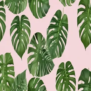 monstera png