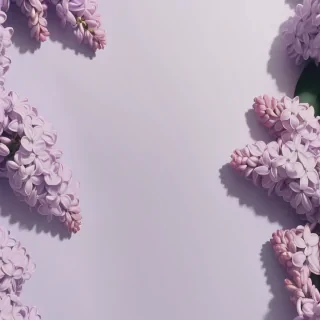 lilac aesthetic wallpaper