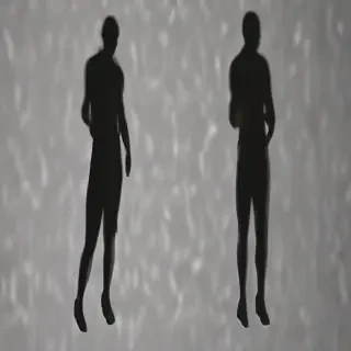 shadow transparent