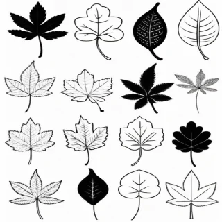 leaf clipart black and white
