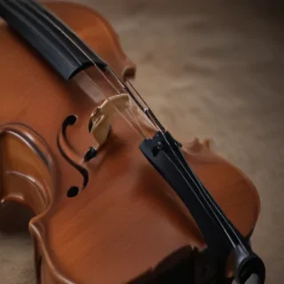 violin png