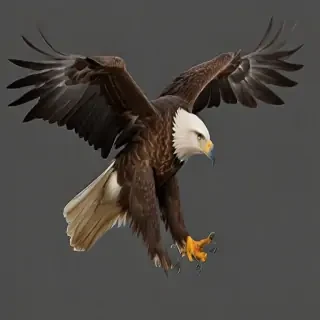 eagle flying png