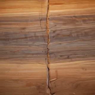 backside background