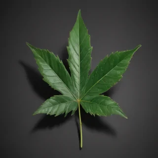 pot leaf png