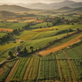 farmland png
