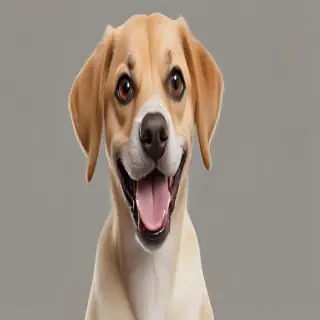 funny dog png