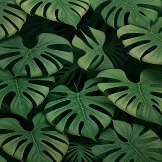 aesthetic monstera wallpaper