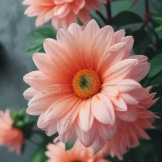 cute aesthetic wallpapers flowers